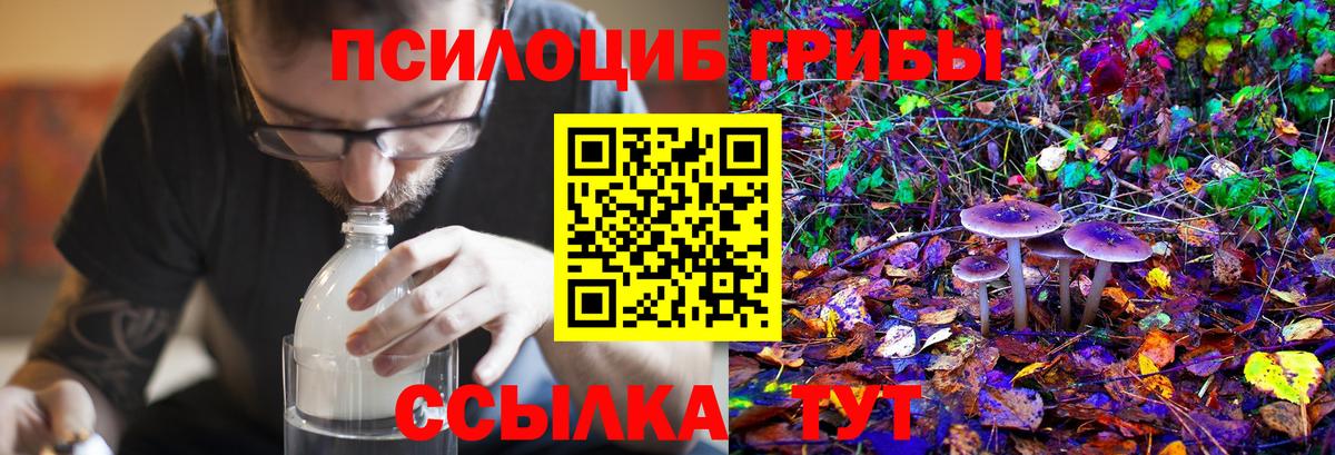 Галлюциногенные грибы прущие грибы Джанкой